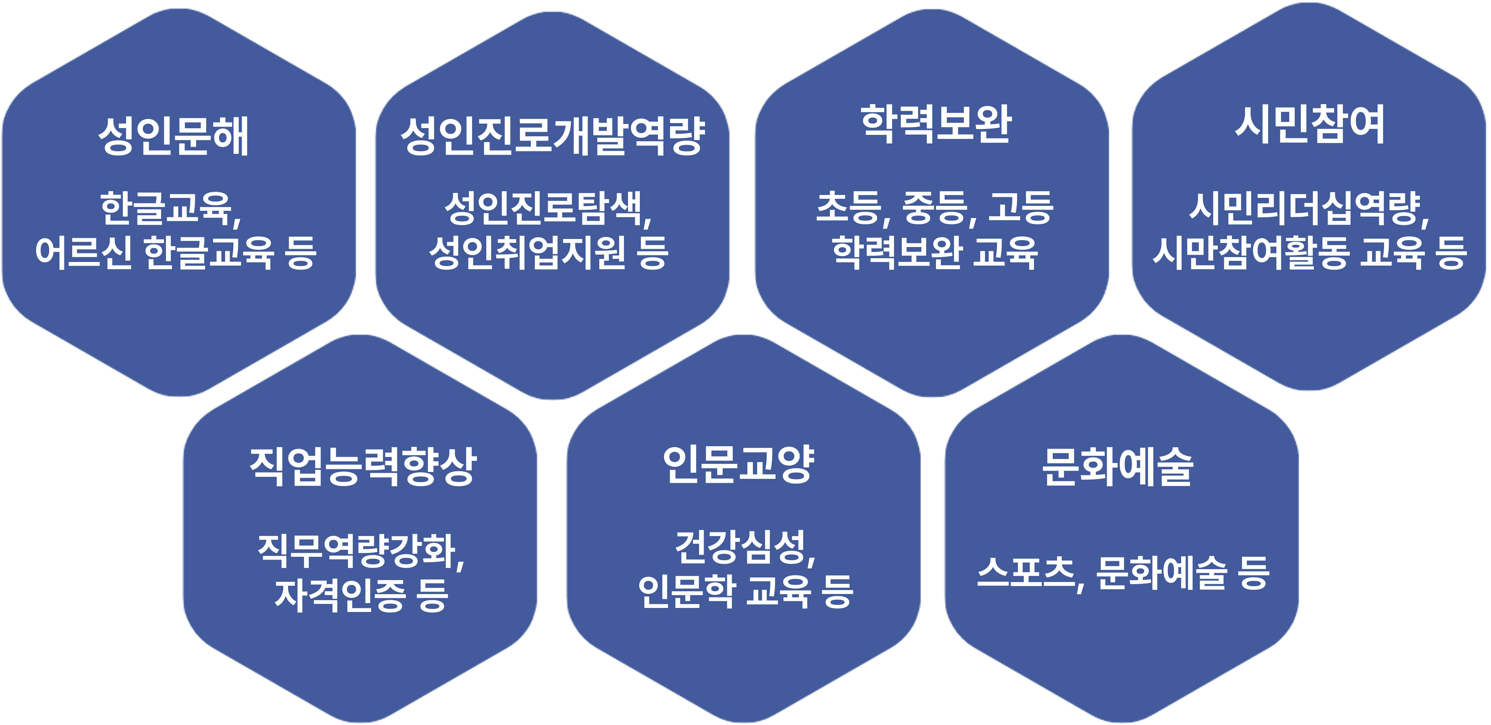 성인문해  
한글교육, 어르신 한글교육 등

성인지로개발역량  
성인지로탐색, 성인취업지원 등

학력보완  
초등, 중등, 고등 학력보완 교육

시민참여  
시민리더십역량, 시민참여활동 교육 등

직업능력향상  
직무역량강화, 자격인증 등

인문교양  
건강심성, 인문학 교육 등

문화예술  
스포츠, 문화예술 등 