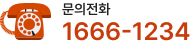 문의전화 1666-1234